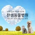 찬샘동물병원 이미지
