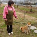 동이농장 이미지