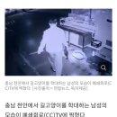 “길고양이 꼬리 죄다 잘려져 있다”…CCTV에 찍힌 충격적 장면 이미지