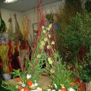 성전2호 이미지