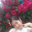 장곡지구대 이미지