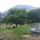 농월정야영장 이미지