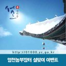 별빛촌장터운영위원회