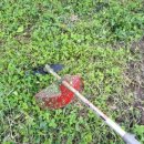 수관농장 이미지