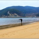 서포리 해수욕장 Daum카페