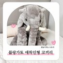 코끼리동물병원 | 아기애착인형 블랑가또 코끼리 애착인형 특대 세탁방법 및 후기