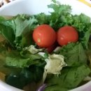 이레네 강아지 이미지