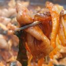 야채의 달인 Daum카페