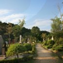 뿌리공원 이미지