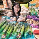 강서물산 이미지