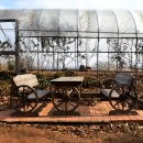 홍주성천년여행길 이미지