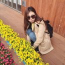 구례진달래집 이미지