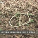 시골국수 이미지