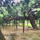 백사보건지소 이미지