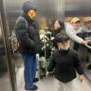 버블리 풀