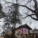 pet159더2482 | 서울 근교 당일치기 여행 가평 춘천 갈만한곳 남이섬 입장료