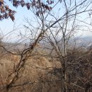 뒷다랭이산(345m).동곡산(669m).독점봉(414m).학곡산(454m)/강원 원주 소초 이미지