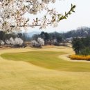 여주-0004 이미지