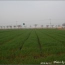 웅포활성화센터 이미지