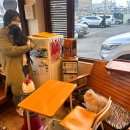 강영석동물병원 이미지