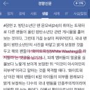 화이트워싱 이미지