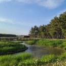 평해사구습지 이미지