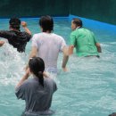 서진목장 이미지