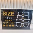 안경OK콘택트안경원 | 세종시 첫마을 이노티안경원 후기! 안경·썬글라스 다 사고 싶은 곳😎