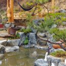 작은나무 이미지