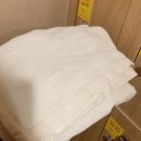 스파레이 이미지