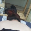 천지인한방병원 이미지