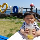 슬라임 스튜디오 | 제주도 4박5일 9월 여행 25.09.11~25.09.15 용스테이 &amp; 시와스튜디오&amp;애월본카페&amp;곽지해수욕장