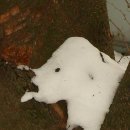 제눈에 안경 이미지