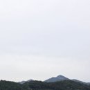 민속칼국수 - 강남구 역삼로92길 7 | 민속칼국수