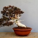 소품21 이미지