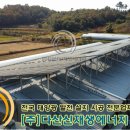 다산1호태양광발전소 이미지
