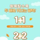 김영플러스강남캠퍼스