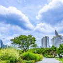 부천중앙공원 이미지