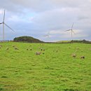 옛날삼양식당 이미지