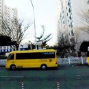 주정차65 이미지