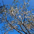 공연리뷰5 이미지