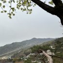 삼도지정마을버스승강장 | 경기도 광주 곤지암 화담숲 모노레일 가격 예약 2025 단풍시기 숙소