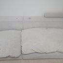 오렌지동물병원 | 성동구 행당동 쇼파 청소 🛋️ 강아지 소변 냄새와 심한 오염까지 관리한 후기