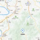 피피비피