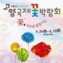 와이엔비 이미지