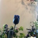 오일파스텔 드로잉 이미지