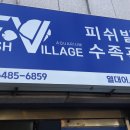 피쉬빌리지수족관