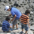 가운태권도 이미지