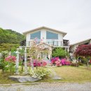 담양버치 이미지