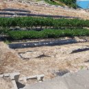 서대리농장 이미지